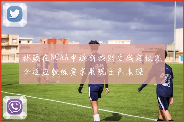 林葳在NCAA中逐渐找到自我定位完全适应教练要求展现出色表现
