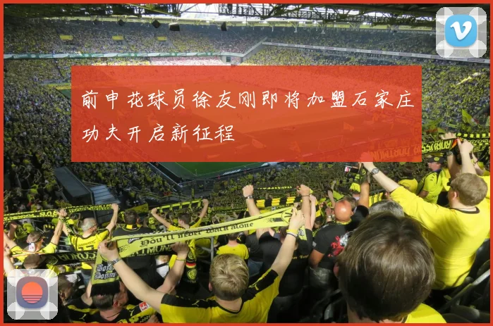 前申花球员徐友刚即将加盟石家庄功夫开启新征程