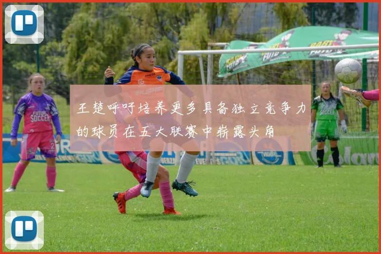 王楚呼吁培养更多具备独立竞争力的球员在五大联赛中崭露头角